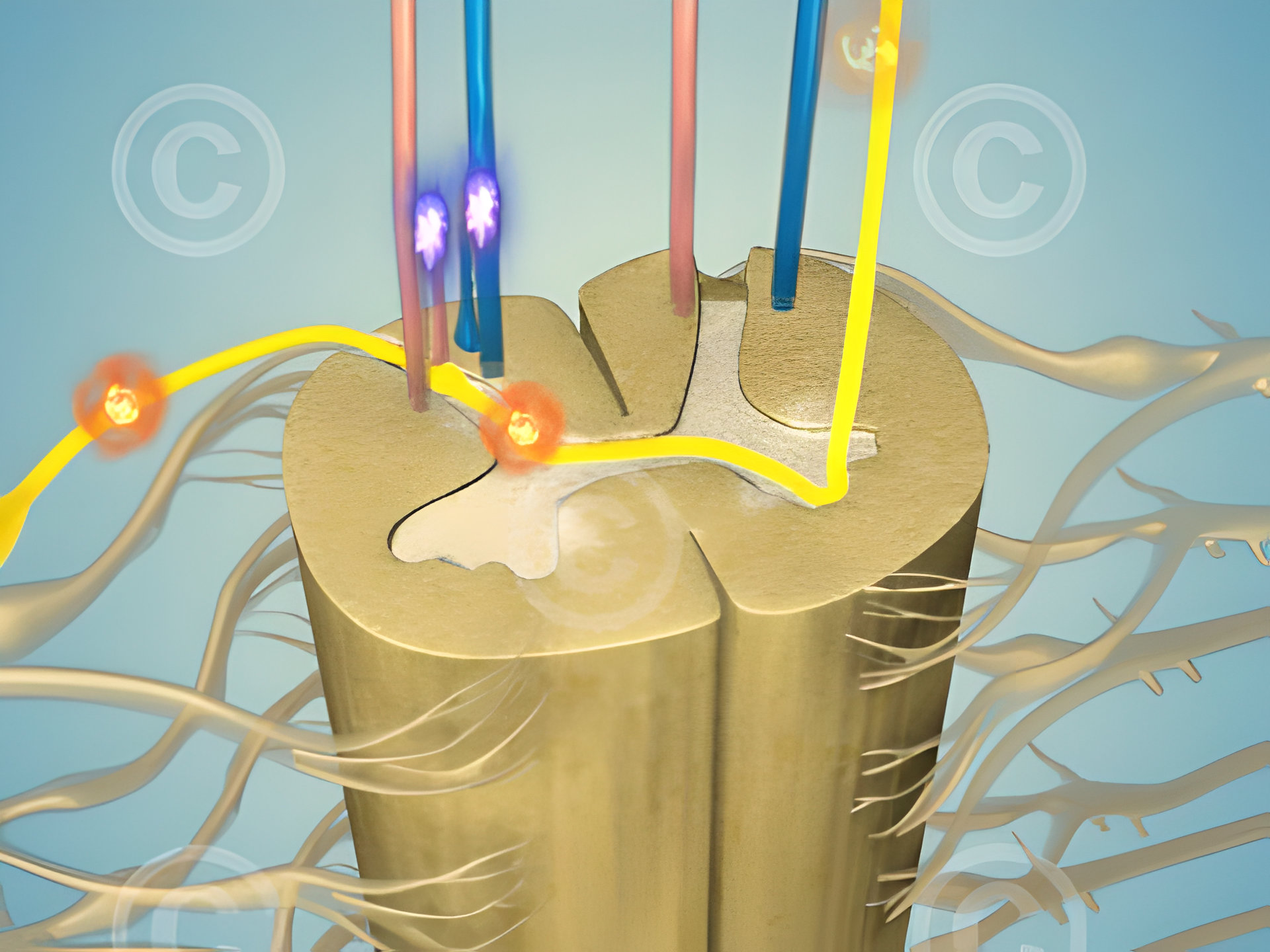 Pain inhibition