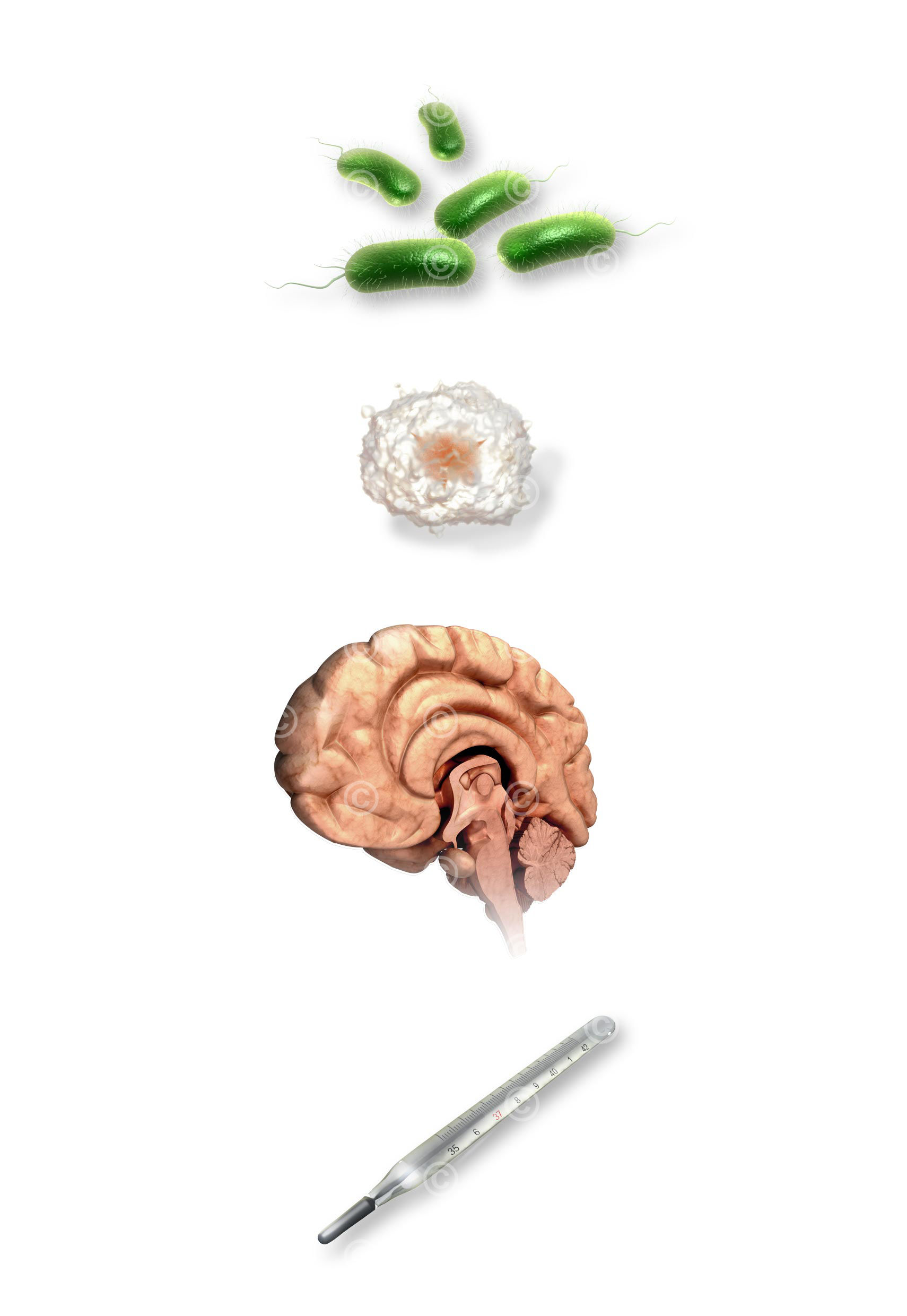 Illustration Fieber illustration fieber