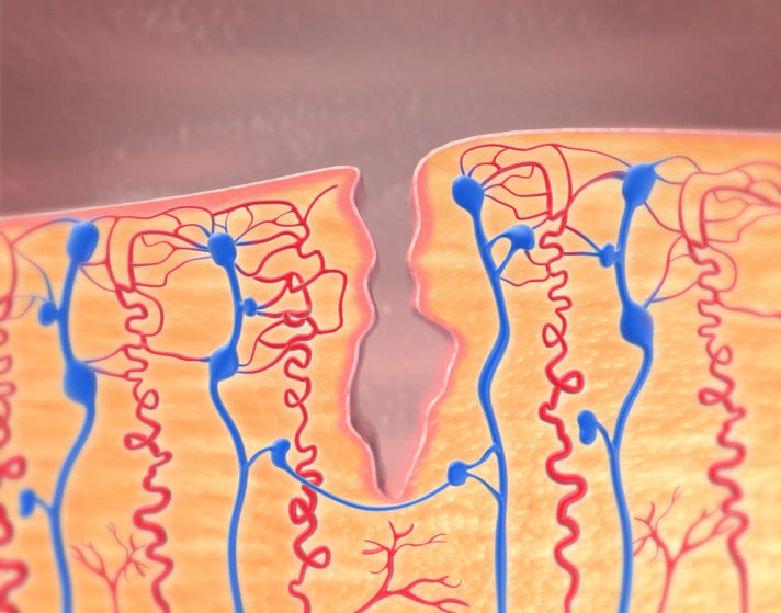 Patient education "menstruation"