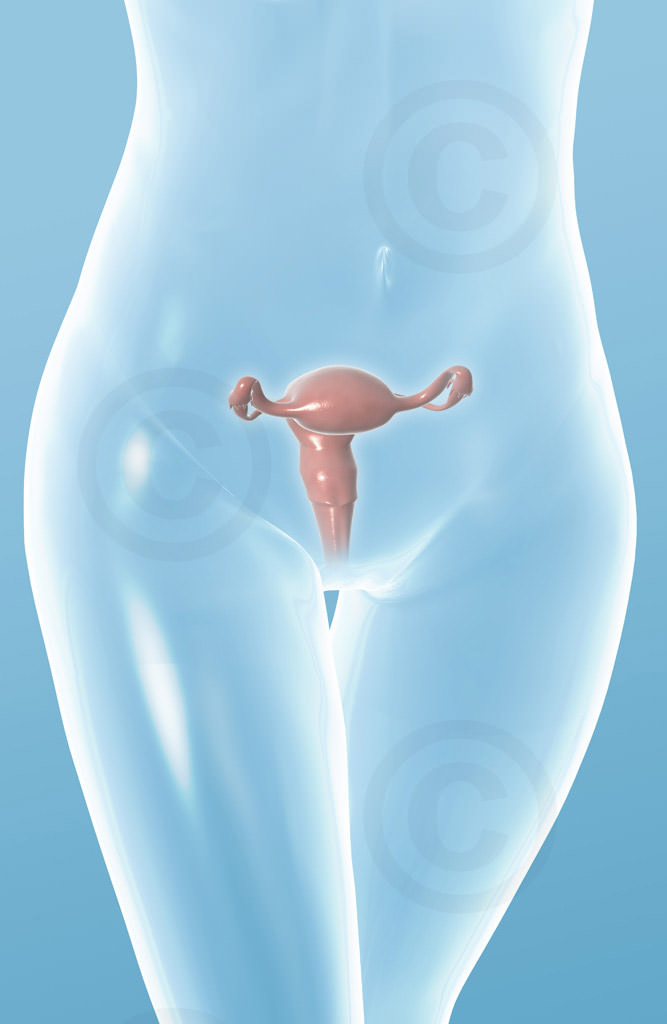 Key-Visual gynecology
