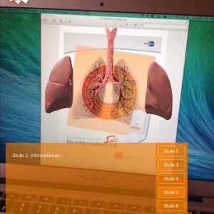 AR-Anwendung Lunge