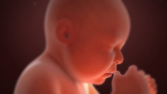 Medizinische 3D Animation - Demovideo