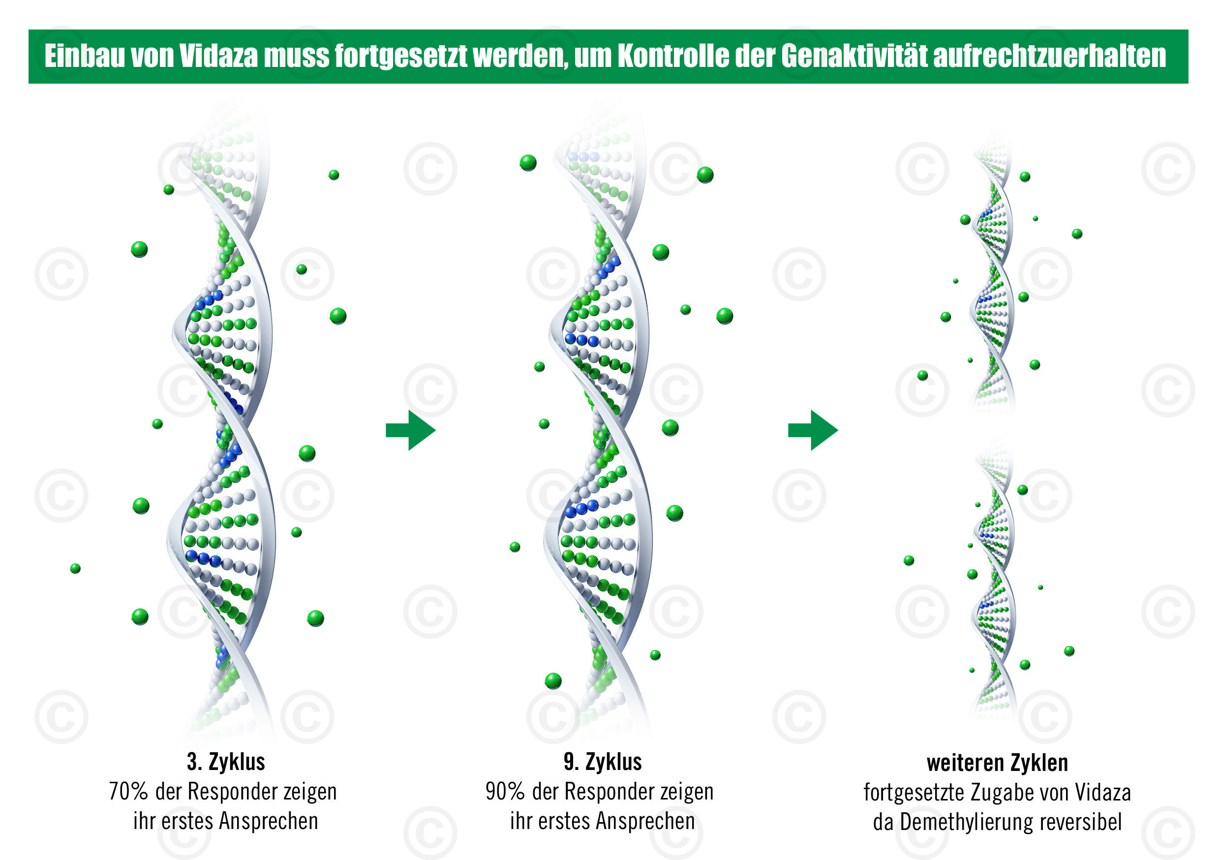 Krebstherapie Azaciditin