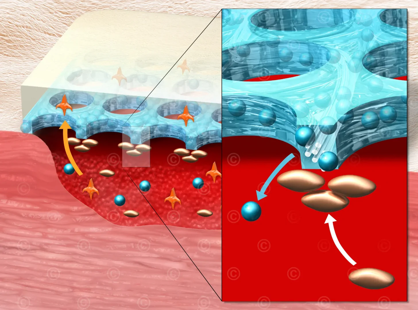 wound-dressing-hydrotac