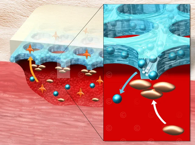 wound-dressing-hydrotac