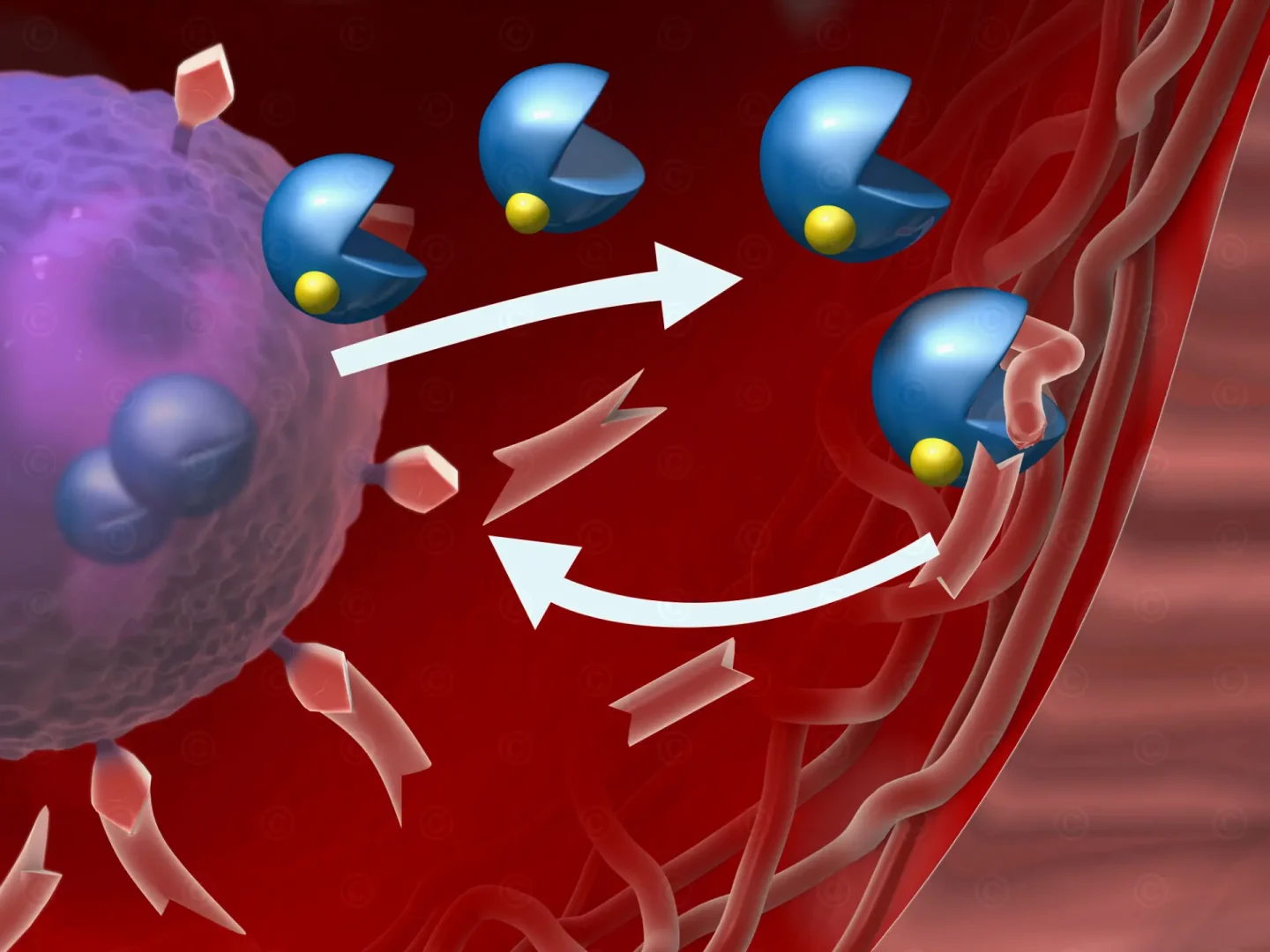 matrix-metalloproteinase-Hydroclean