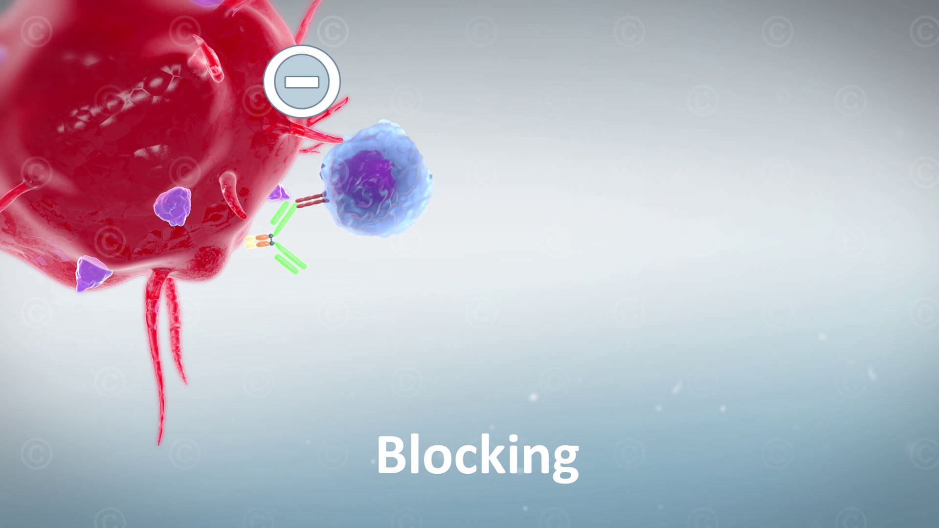 immun checkpoint inhibitor blockiert t zelle