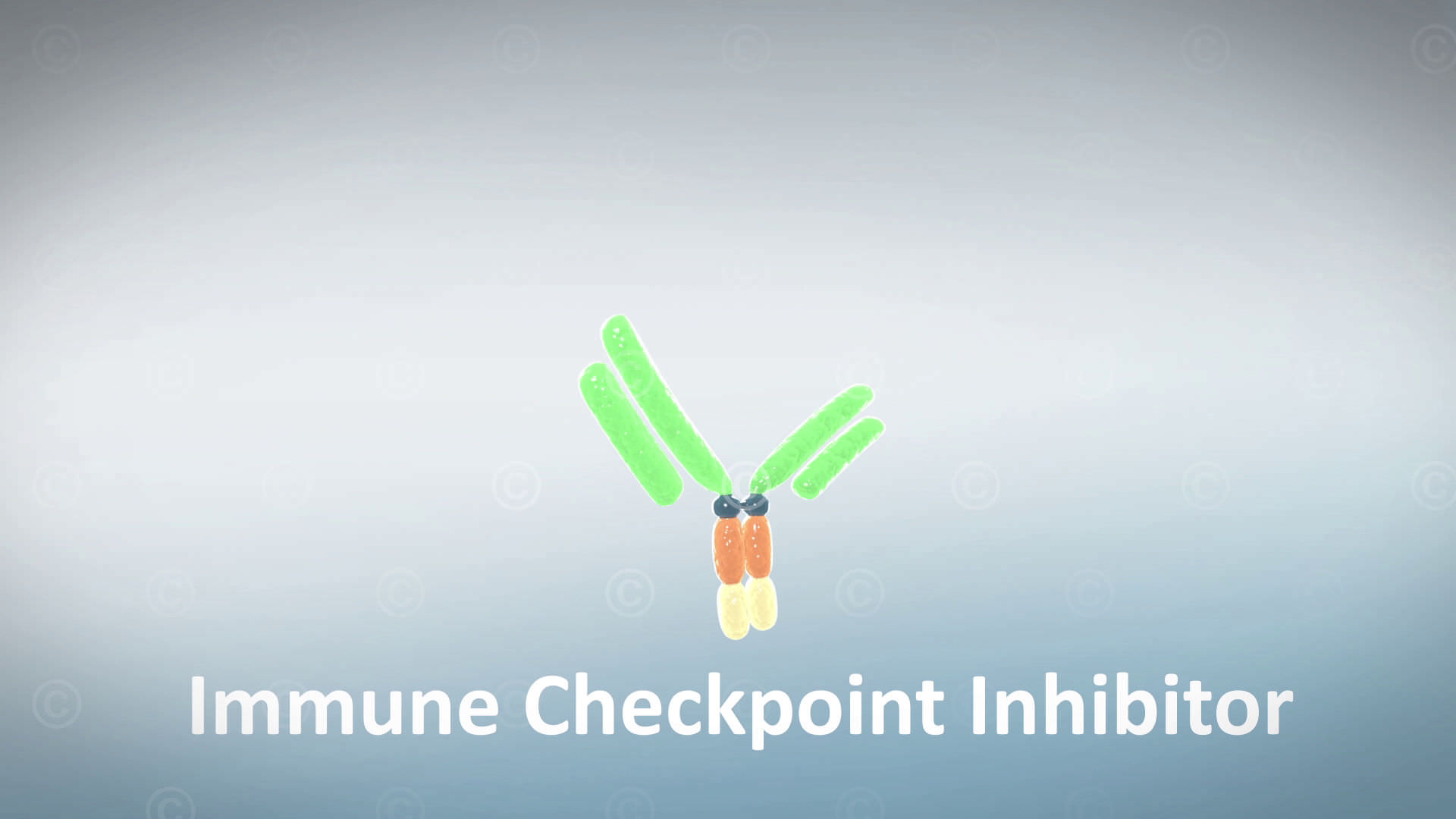 immun checkpoint inhibitor