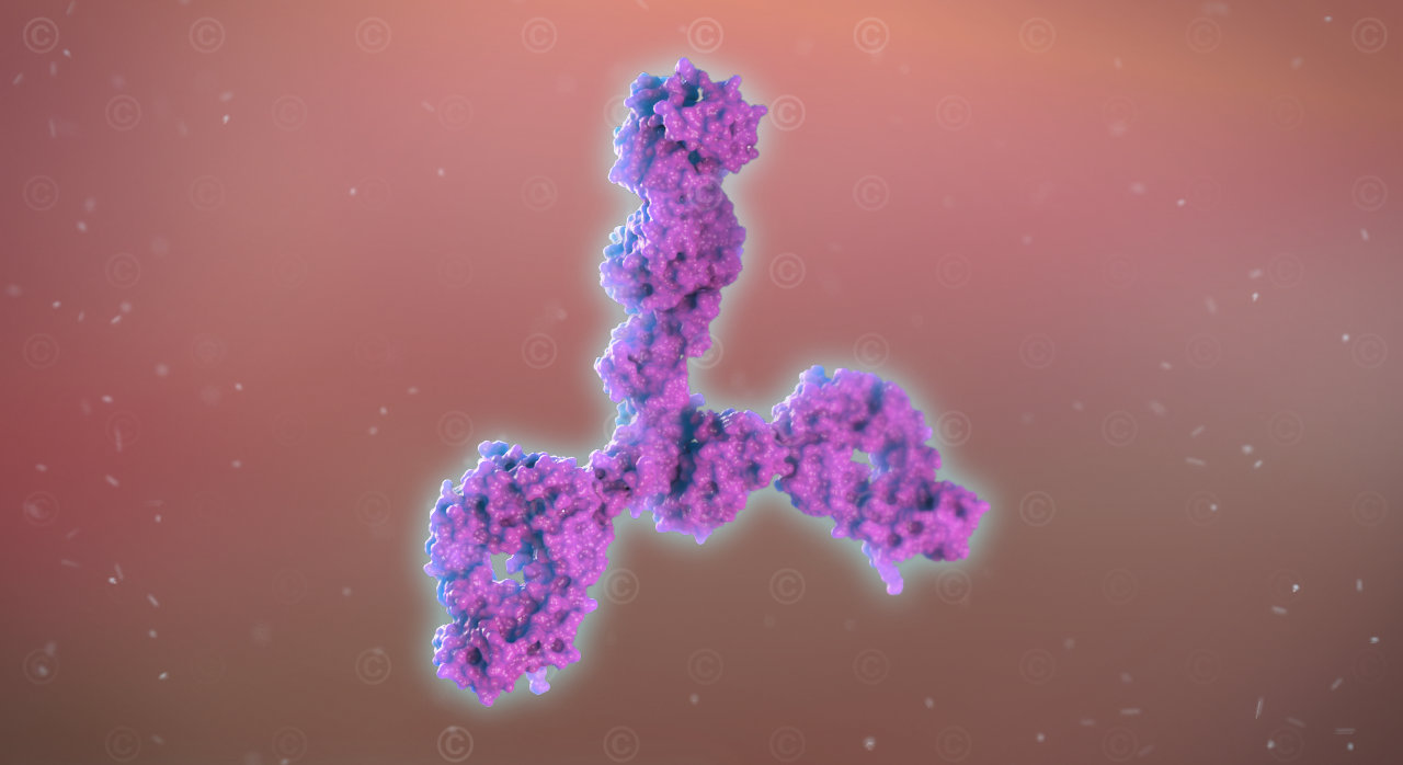 Monoclonal antibodies