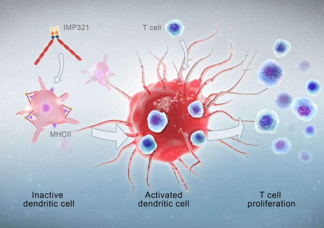 Animation cancer immunotherapy