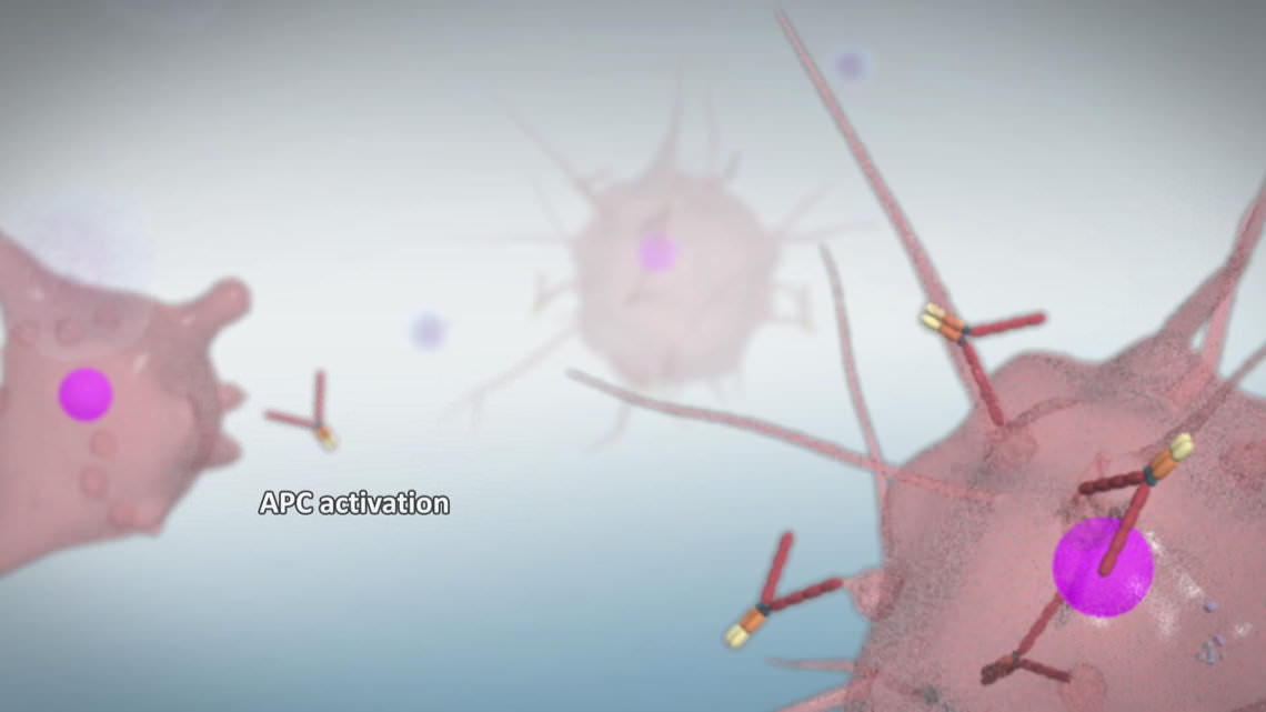 layout animation cancer immunotherapy