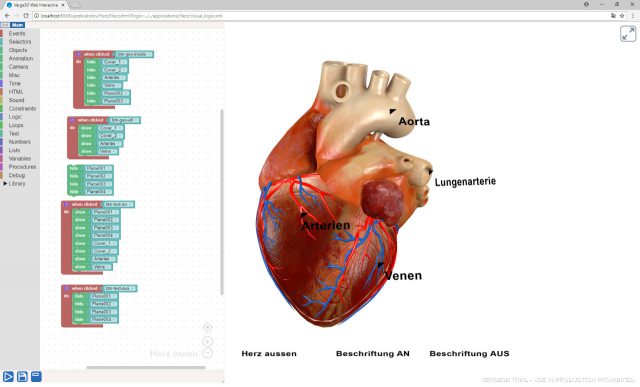 Anatomical 3D models in web browser
