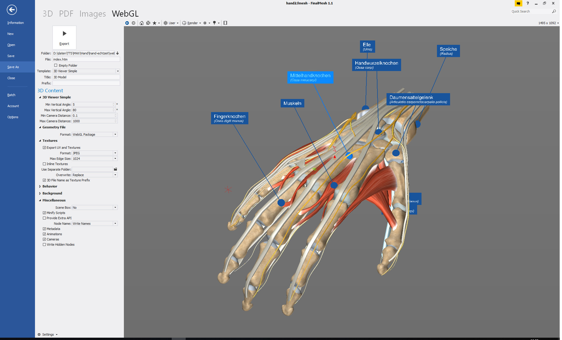 finalmesh hand anatomie
