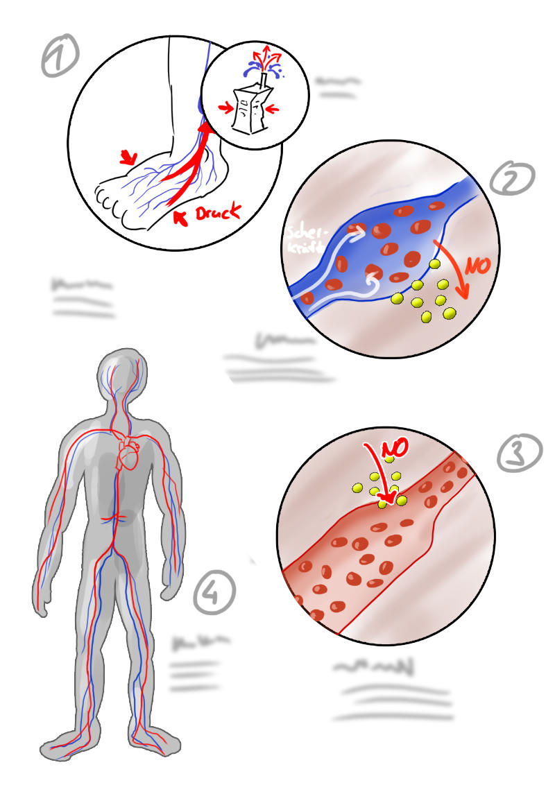 infografik skizze04