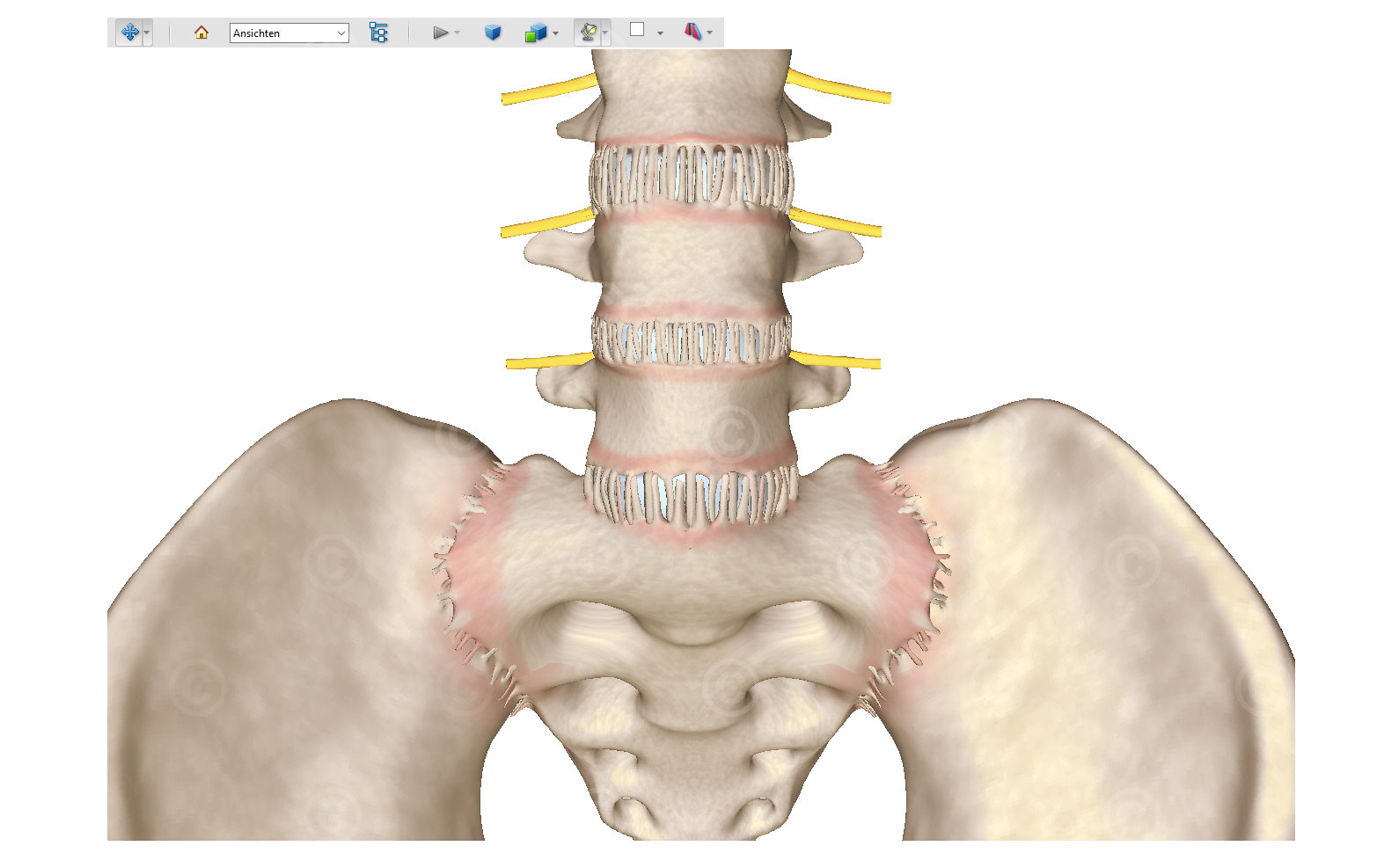 Screenshot of a 3D model from a 3D PDF of the created models