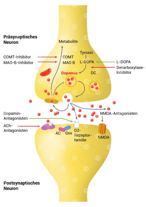 dopamin parkinson