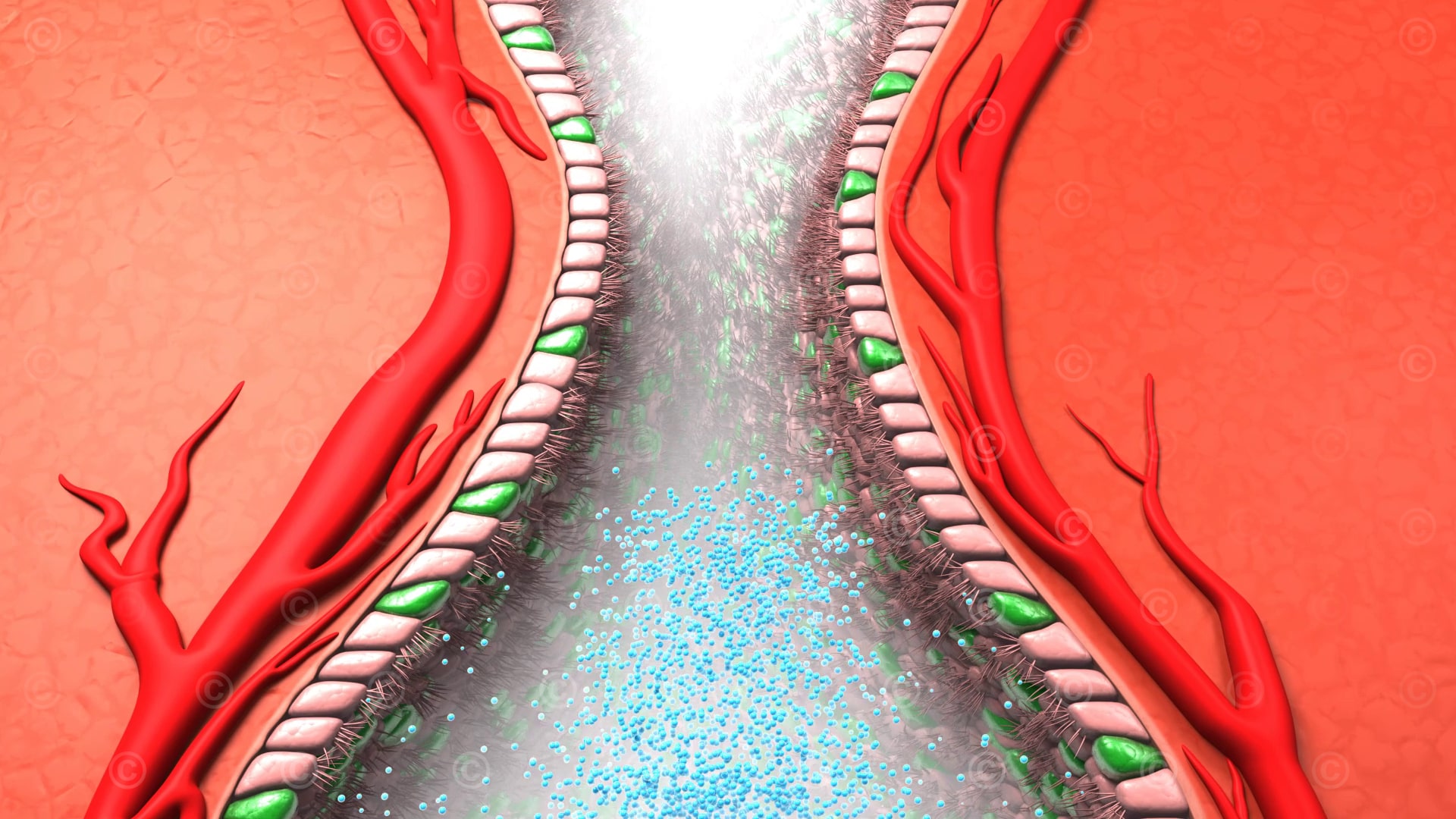 Active ingredient in nasal mucosa