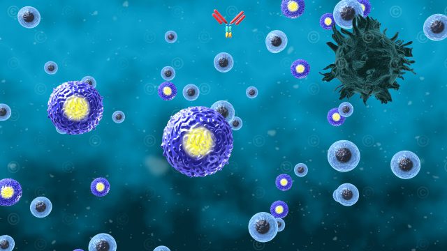 Cancer immunotherapy