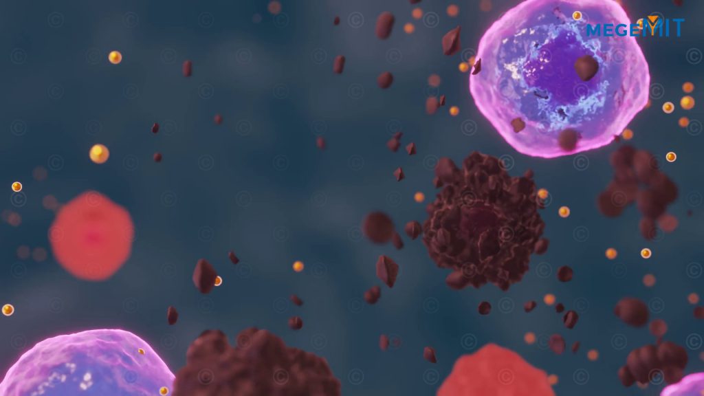 Immunzellen schädigen körpereigene Zellen