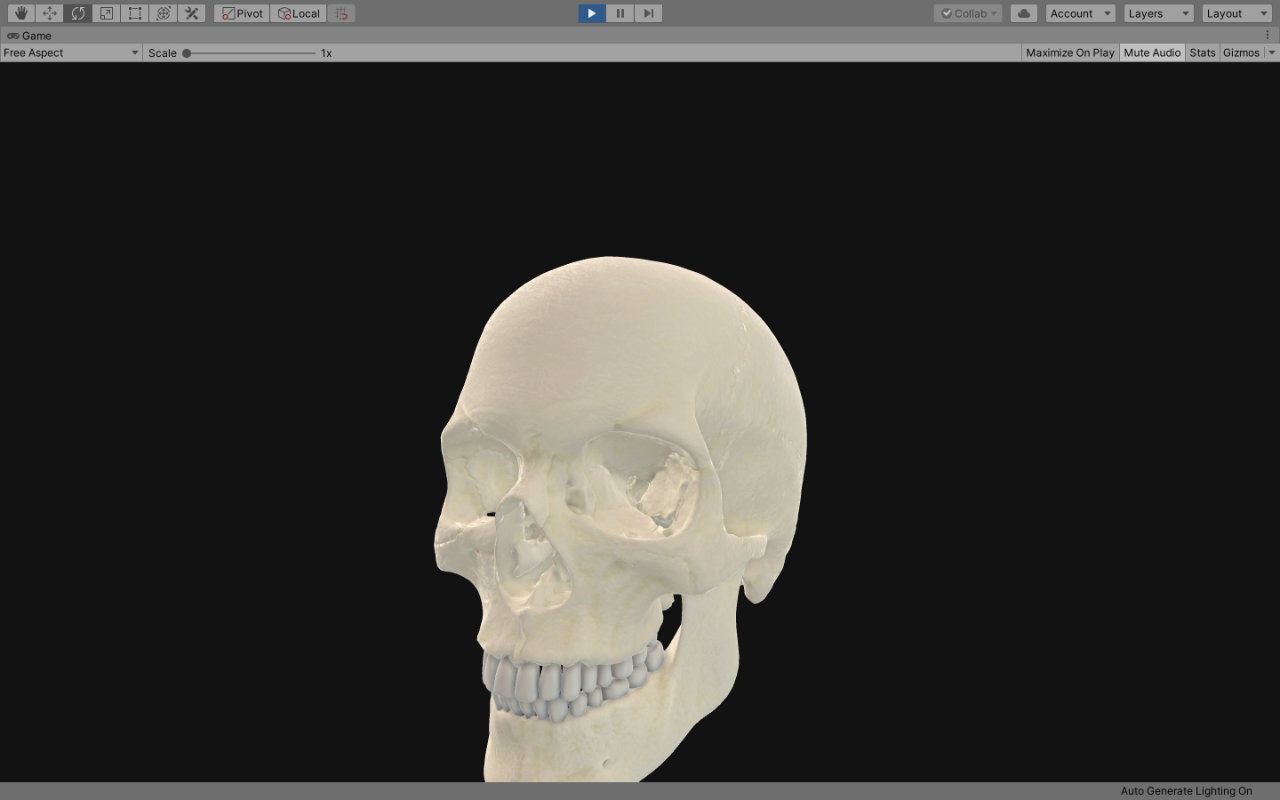 schaedel anatomie app unity screenshot