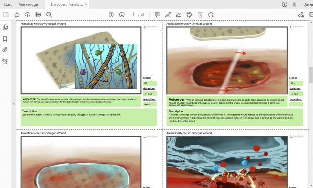 kerecis storyboard