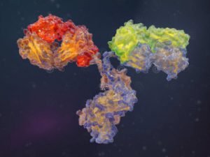 Illustrationen Proteine