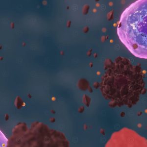 Immune cells damage the body's own cells