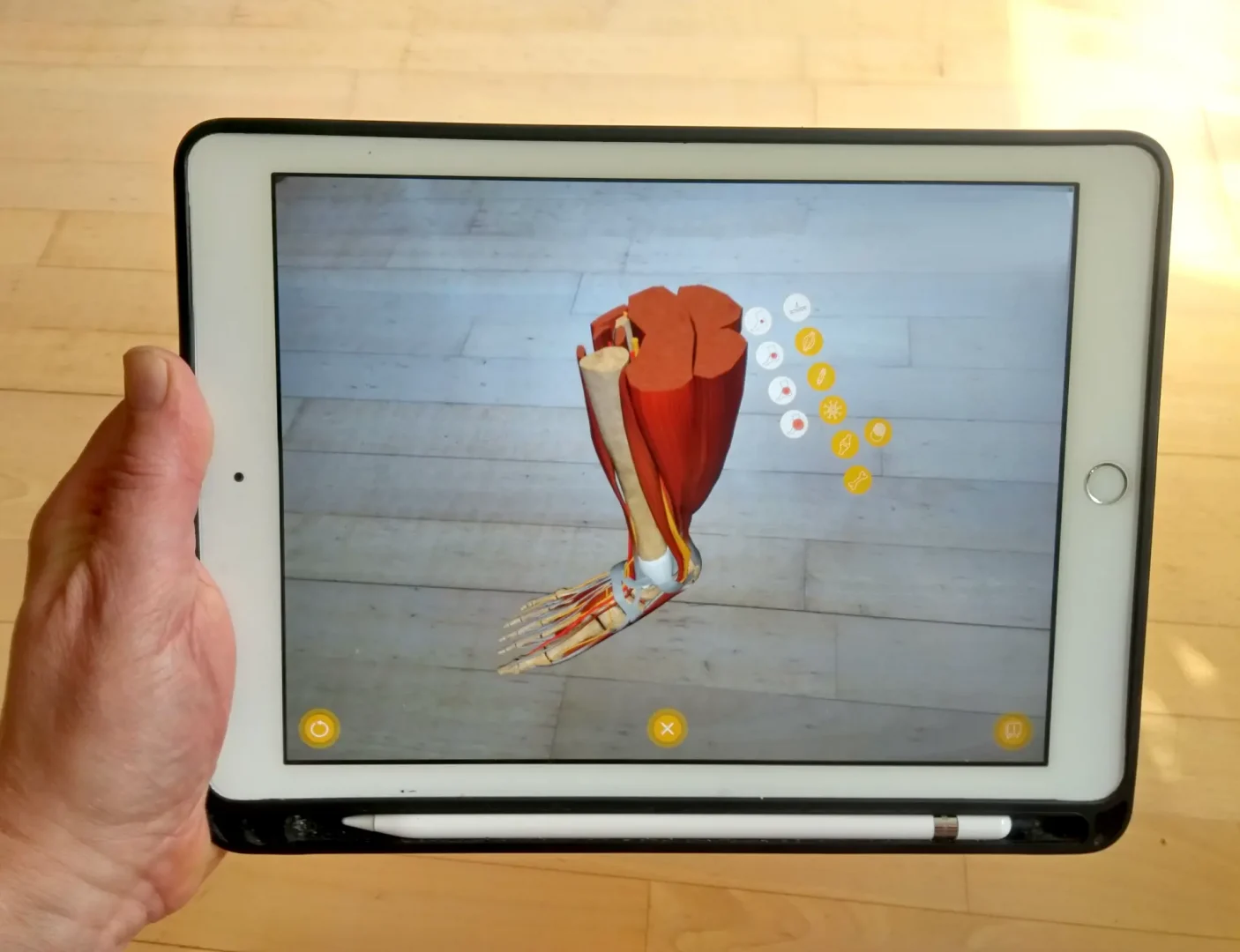 augmented-reality-app-ipad