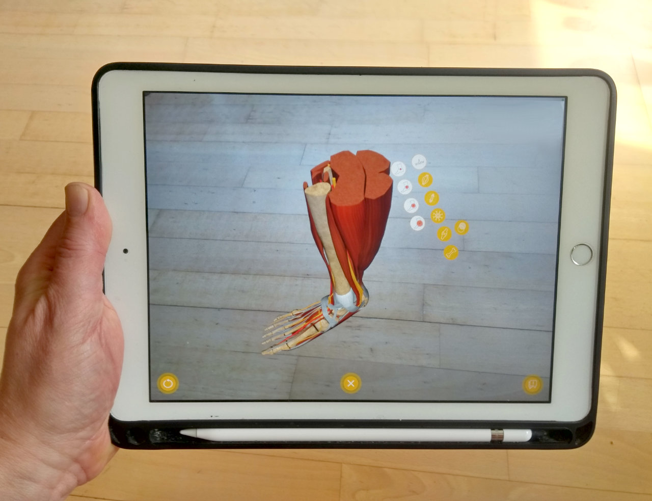 Augmented Reality App with Navigation - Photo iPad