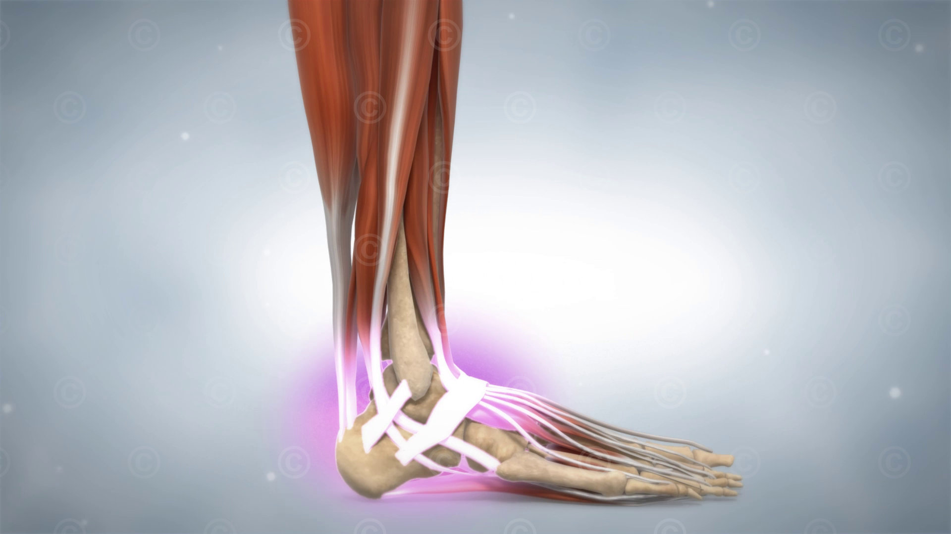 surgical procedure ligaments ankle