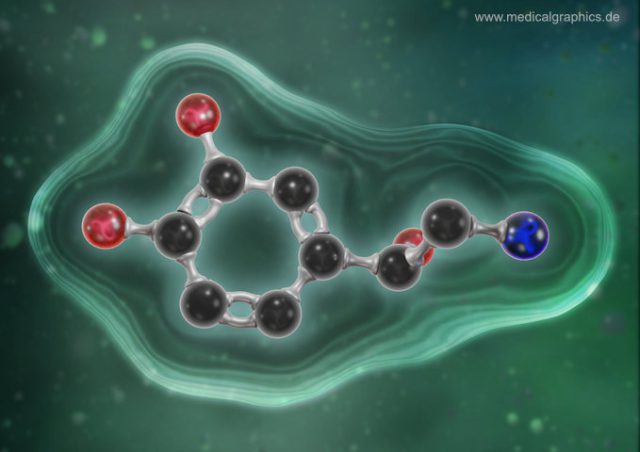 Free illustration Norepinephrine - green