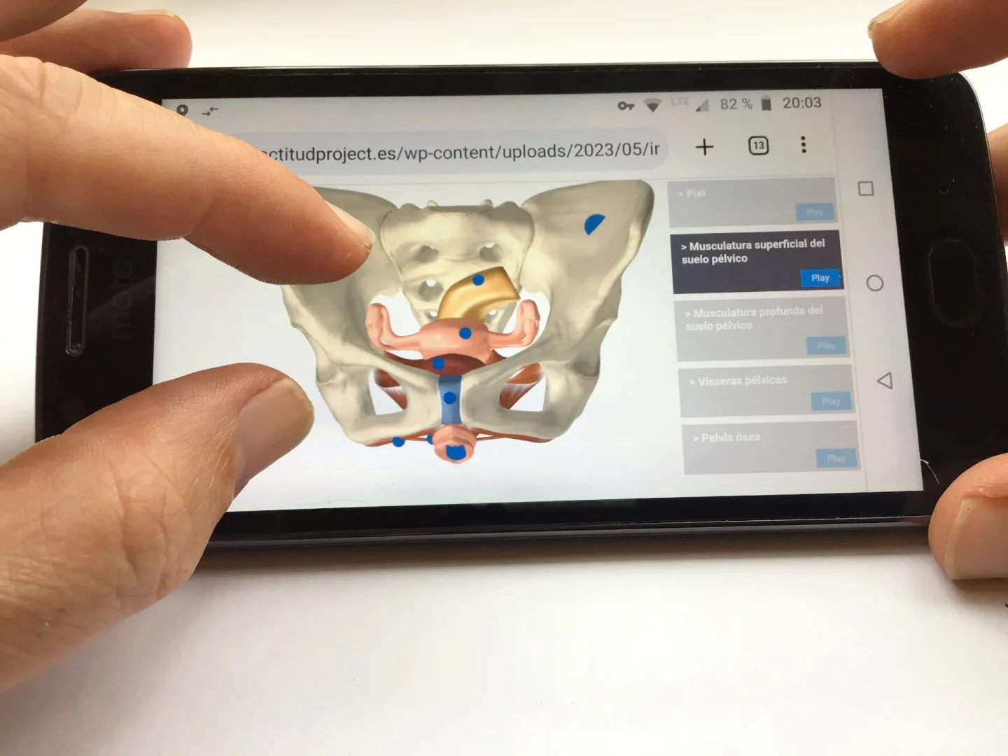 3D Modell Handy im Browser - Gynäkologie