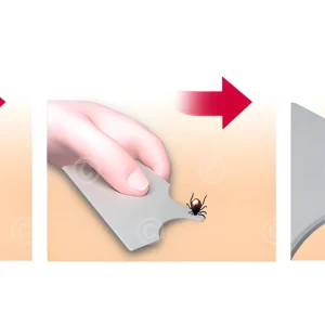 tick-removal-tick-card
