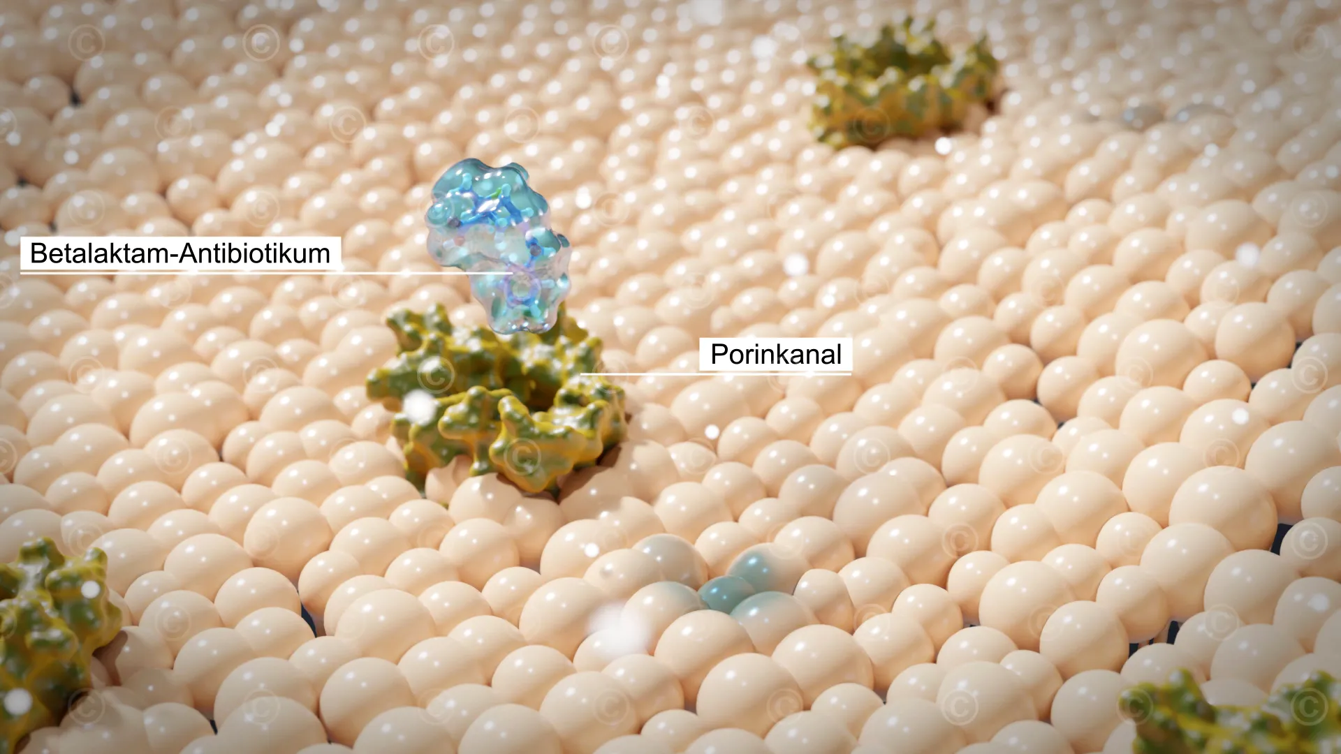 antibiotikum-eindringen-porinkanal-bakterium