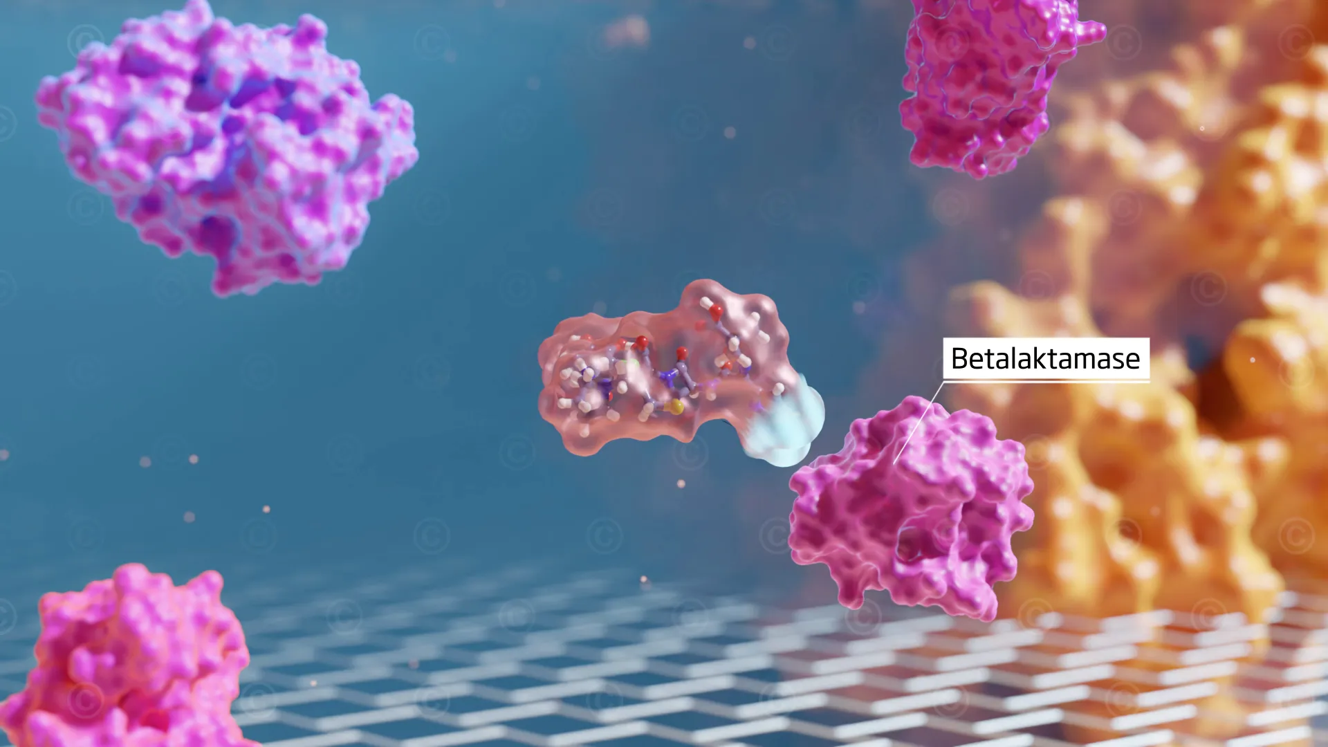 Antibiotikum ist geschützt vor Abbau durch Betalaktamasen