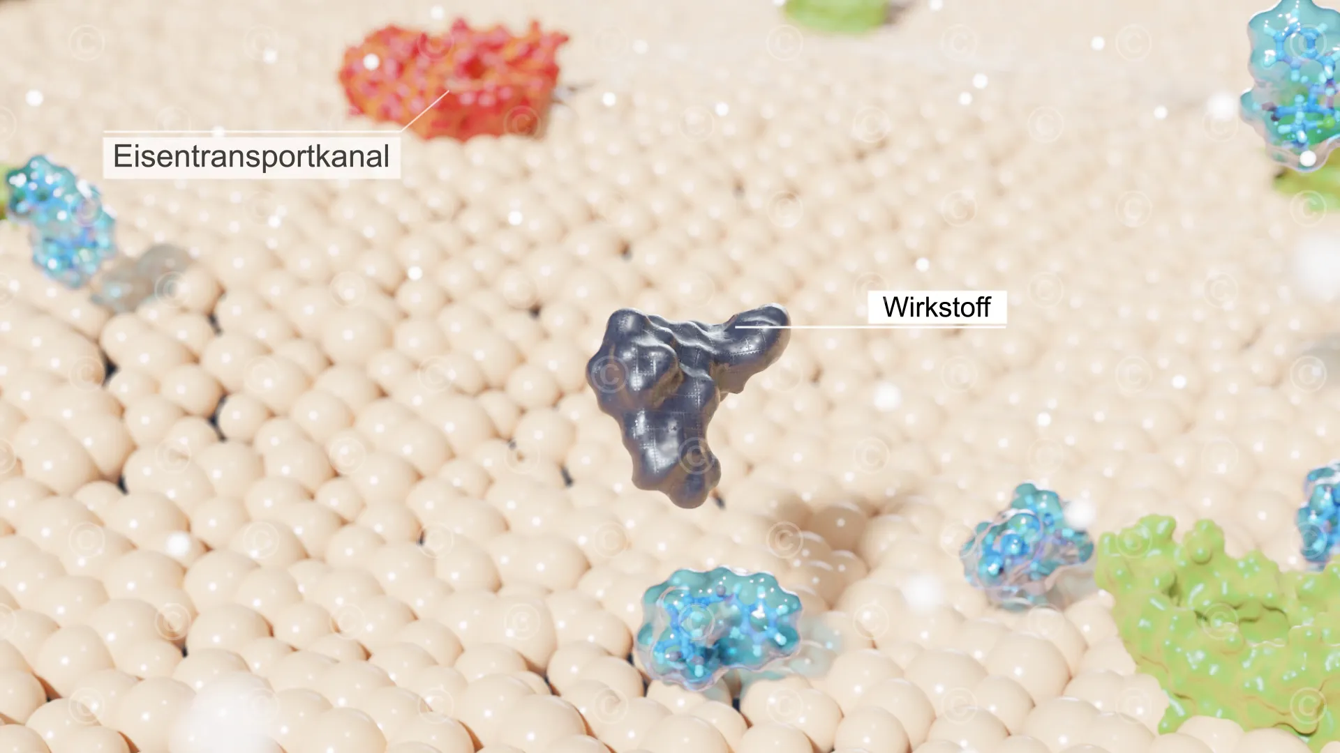 Uptake antibiotics via iron transport system