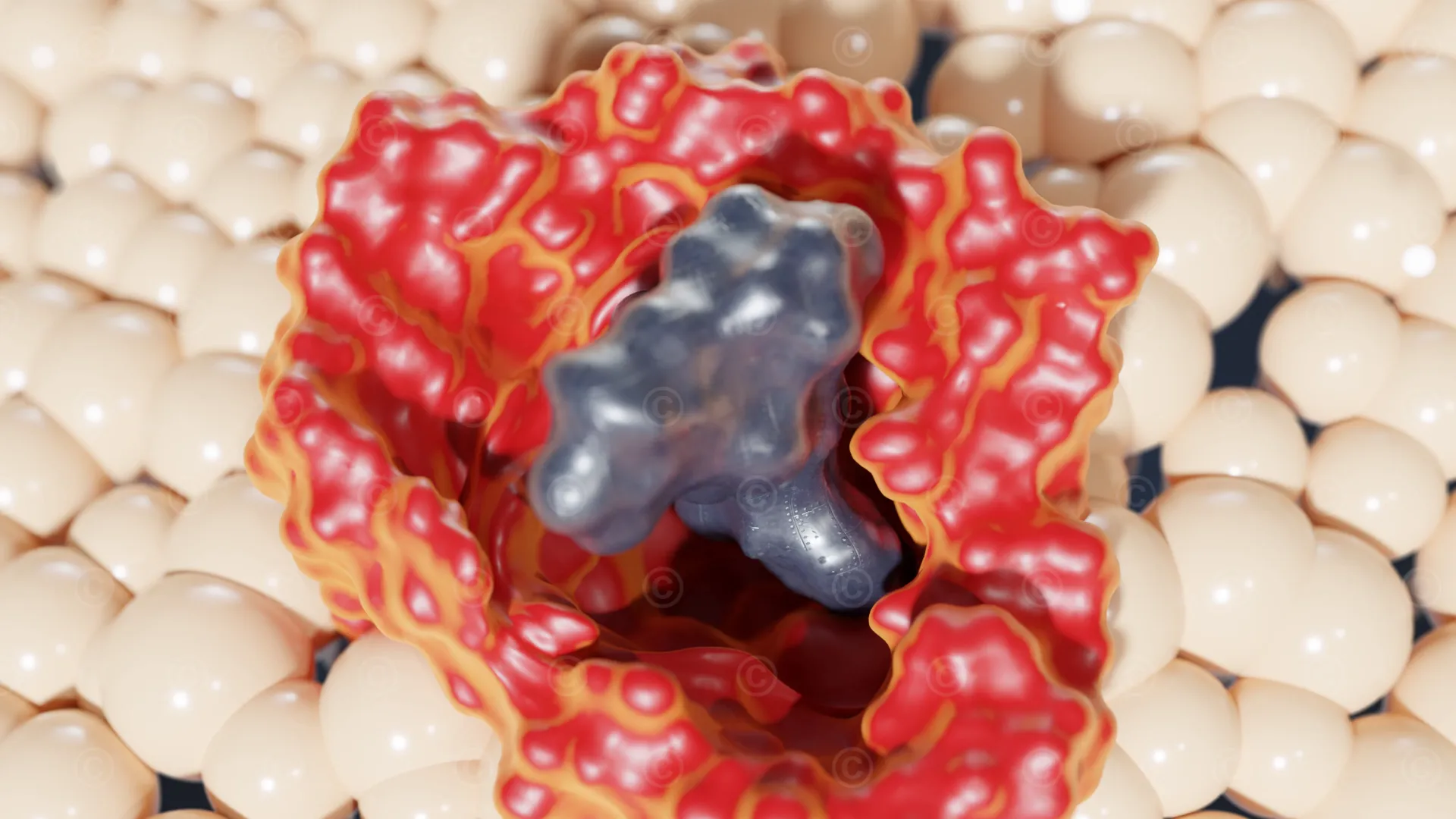 Uptake of active ingredient through iron transport system