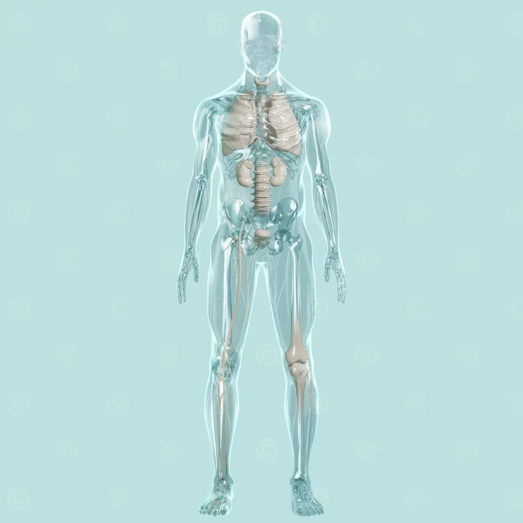 Key visual - medical-specialties
