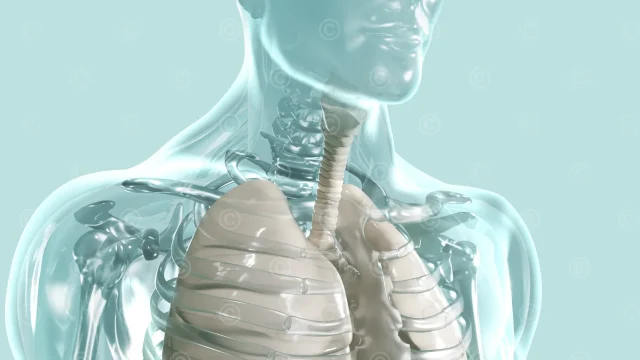 Keyvisual Pulmonology -thorax