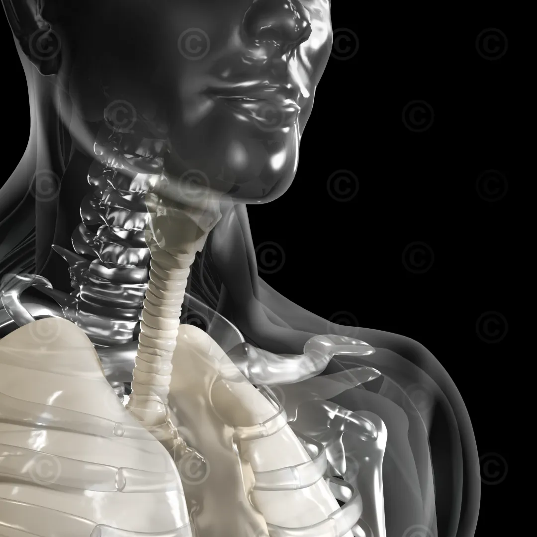Keyvisual - thoracic surgery