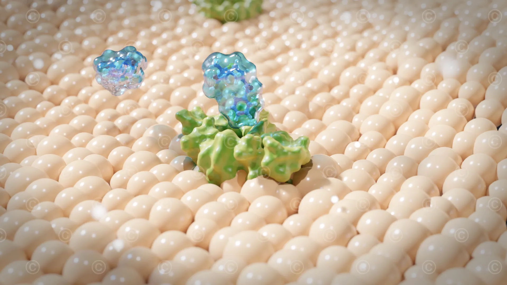 Resistant bacterium - mutation porin-channel