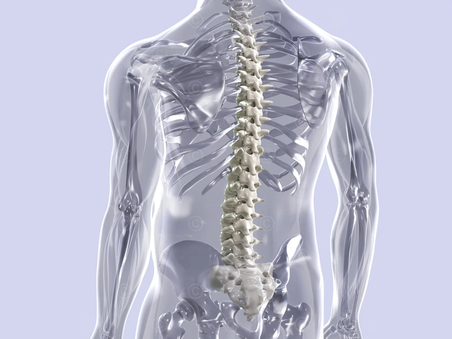 Spine orthopedics - key visual