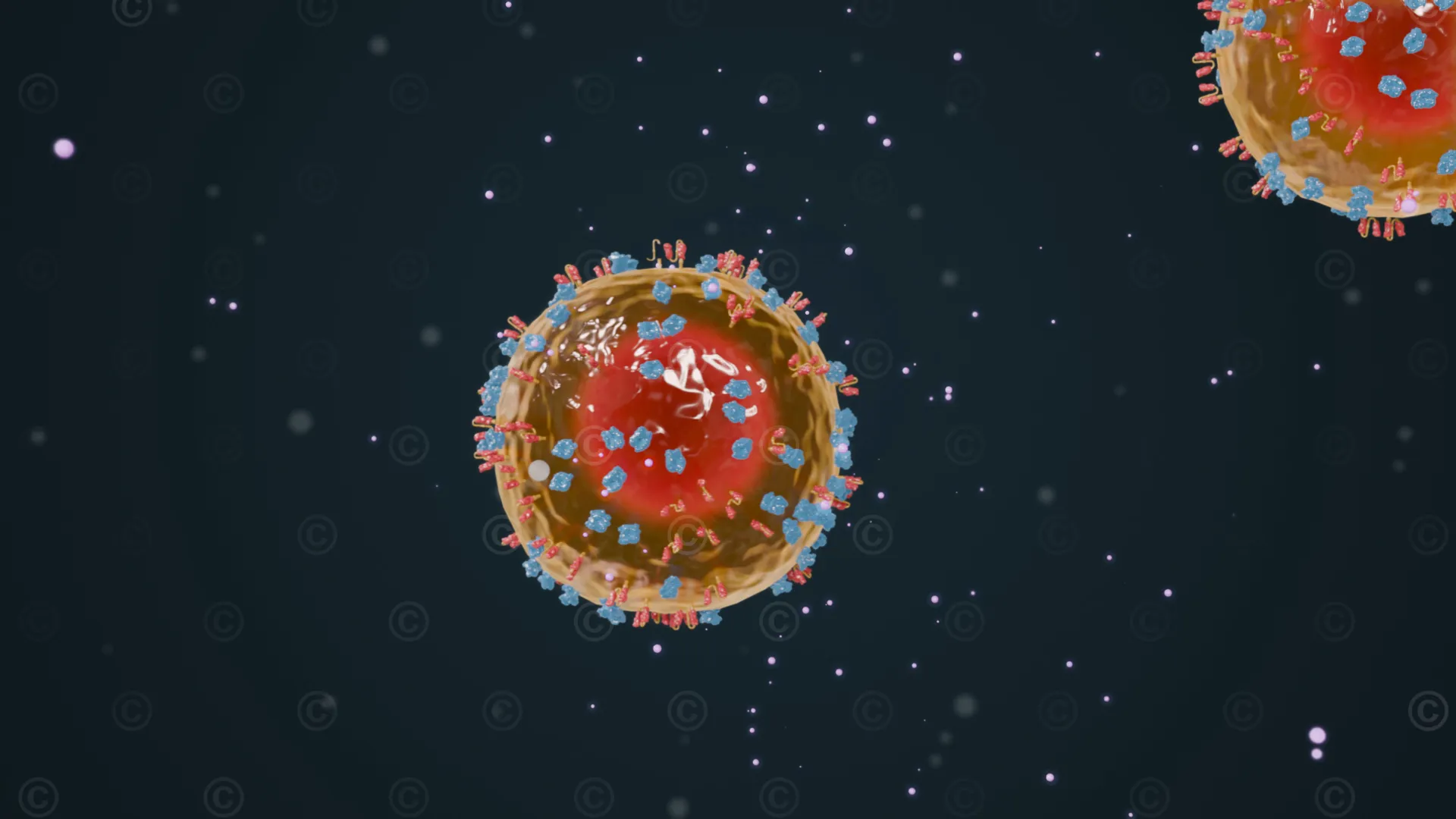 CAR T cell releases cytokines