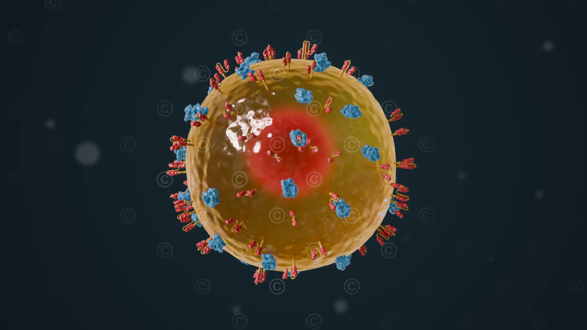 car-t-zelle- chimaere-antigenrezeptoren