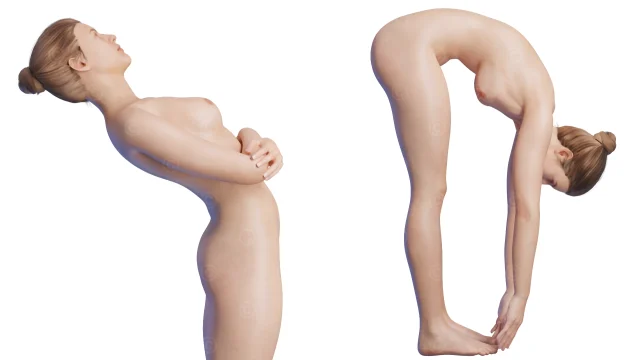 Evaluation ROM spine - extension and flexion