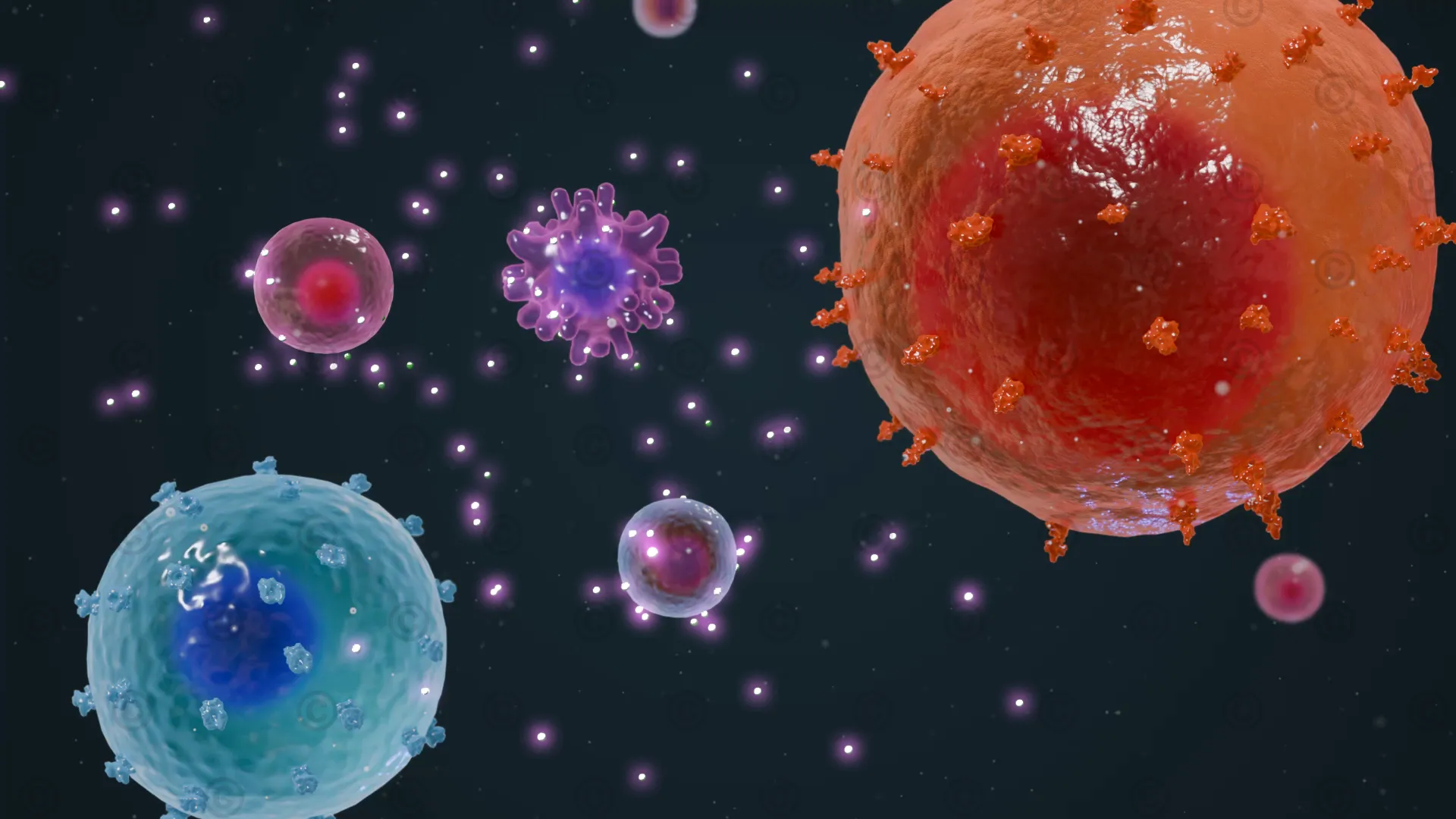 Regulatory immune cells inhibit T cell activity
