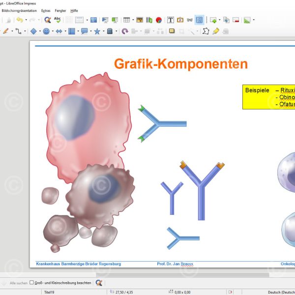 prinzipien PowerPoint krebsimmuntherapie gross